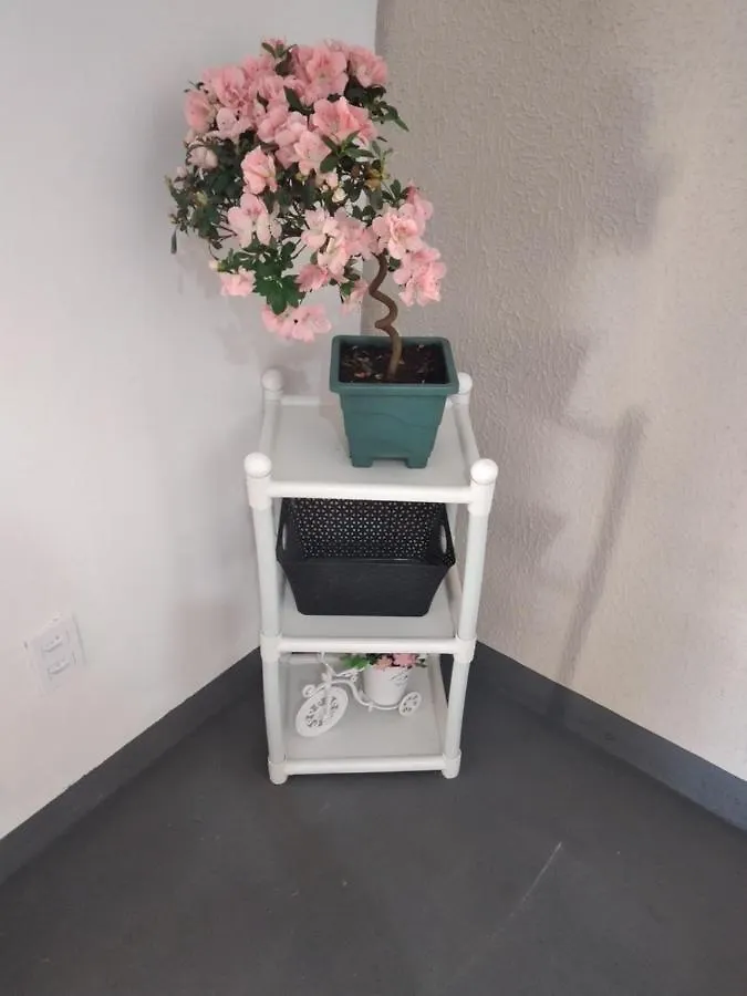 Casa Das Flores Colorado - Aluguel De Quartos Com Camas De Casal - Banheiros Compartilhados Brasilia Brazil